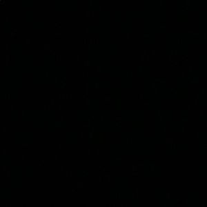 Meet your Posher, Ricky